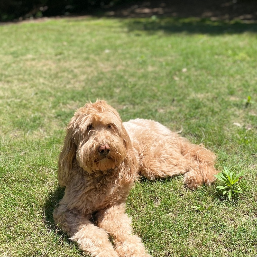 Meet your Posher, Katherine